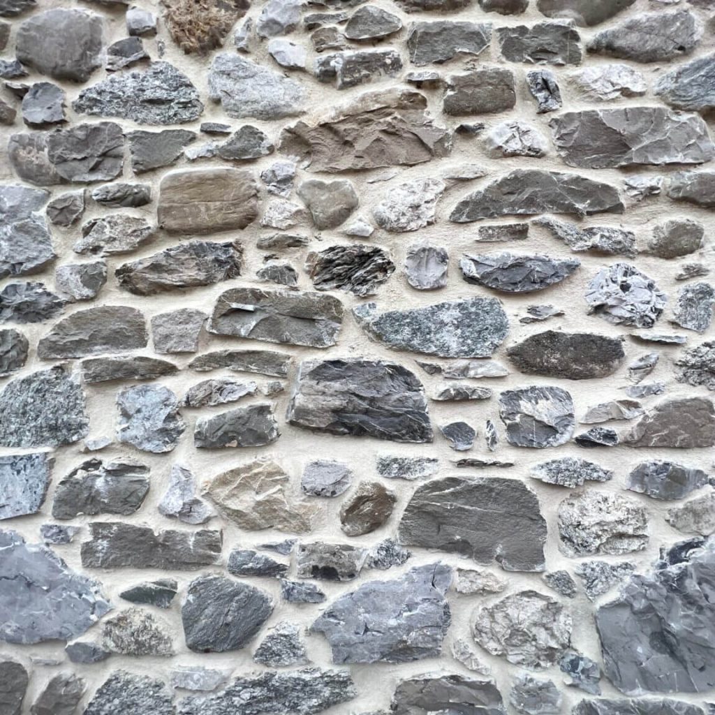 rejointement
